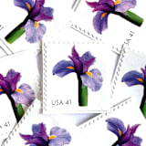 "Iris Postage Stamps | Beautiful Blooms Series | Purple Flowers | Botanical | Wedding Stamps | Vintage Unused USPS Postage 41c | Pack of 10" - Postage Stamps in purple by Heritage Post House