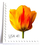 "Tulip Postage Stamps | Beautiful Blooms Series | Yellow Flowers | Vintage Unused USPS Postage 41c | Pack of 10" - Postage Stamps in yellow by Heritage Post House