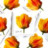 "Tulip Postage Stamps | Beautiful Blooms Series | Yellow Flowers | Vintage Unused USPS Postage 41c | Pack of 10" - Postage Stamps in yellow by Heritage Post House