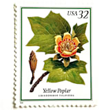 "Yellow Poplar Postage Stamps | Flowering Trees | Indiana and Tennessee State Tree | Wedding Stamp | Vintage Unused USPS Postage 32c | Pack of 10" - Postage Stamps in green by Heritage Post House