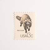 "13 Cent Raccoon Stamps // Set of 10 // UNUSED Vintage Stamps" - Postage Stamps in gray by Flourish Fine Writing