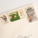 "13 Cent Raccoon Stamps // Set of 10 // UNUSED Vintage Stamps" - Postage Stamps in gray by Flourish Fine Writing