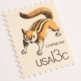 "13 Cent Chipmunk Postage Stamps // Set of 10 // UNUSED Vintage Stamps" - Postage Stamps in natural by Flourish Fine Writing