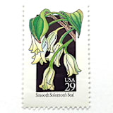 "Smooth Solomon's Seal Postage Stamps | American Wildflower Series | White Flower | Botanical | Vintage Unused USPS Postage 29c | Pack of 10" - Postage Stamps in white by Heritage Post House