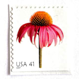 "Coneflower Postage Stamps | Beautiful Blooms Series | Echinacea | Pink Flowers | Vintage Unused USPS Postage 41c | Pack of 10" - Postage Stamps in pink by Heritage Post House