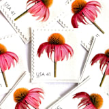 "Coneflower Postage Stamps | Beautiful Blooms Series | Echinacea | Pink Flowers | Vintage Unused USPS Postage 41c | Pack of 10" - Postage Stamps in pink by Heritage Post House