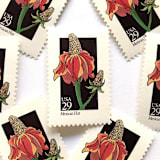 "Mexican Hat Postage Stamps | American Wildflower Series | Red Flower | Botanical | Vintage Unused USPS Postage 29c | Pack of 10" - Postage Stamps in red by Heritage Post House