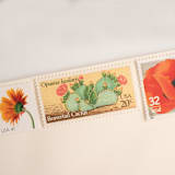 "Desert Sunset Postage Set // Set of 5 // $.93 in postage" - Postage Stamps in orange by Flourish Fine Writing
