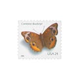 "24 Cent Common Buckeye Postage Stamps // Set of 10 // UNUSED vintage postage" - Postage Stamps in brown by Flourish Fine Writing