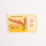 "6 Cent Botanical Congress, Ocotillo Postage Stamps // Set of 10 // UNUSED Vintage Stamps" - Postage Stamps in yellow by Flourish Fine Writing