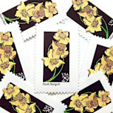 "Marsh Marigold Postage Stamp | American Wildflower Series | Yellow Flower | Botanical | Vintage Unused USPS Postage 29c | Pack of 10" - Postage Stamps in yellow by Heritage Post House