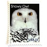 ""Snowy Owl" Postage Stamps | Arctic Animals Series | Unused USPS Postage 33c | Pack of 10" - Postage Stamps in white by Heritage Post House