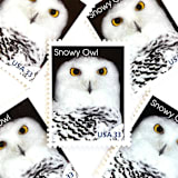 ""Snowy Owl" Postage Stamps | Arctic Animals Series | Unused USPS Postage 33c | Pack of 10" - Postage Stamps in white by Heritage Post House
