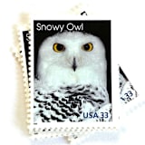 ""Snowy Owl" Postage Stamps | Arctic Animals Series | Unused USPS Postage 33c | Pack of 10" - Postage Stamps in white by Heritage Post House