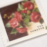 "Red Camellia Forever Stamps // Set of 10" - Postage Stamps in red by Flourish Fine Writing