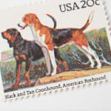 "20 Cent Coonhound & American Foxhound Dog Postage Stamps // Set of 10 // UNUSED" - Postage Stamps in beige by Flourish Fine Writing