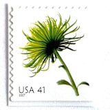 "Chrysanthemum Postage Stamps | Beautiful Blooms Series | Green Flowers | Botanical | Wedding Stamps | Vintage Unused USPS Postage 41c | Pack of 10" - Postage Stamps in green by Heritage Post House