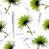 "Chrysanthemum Postage Stamps | Beautiful Blooms Series | Green Flowers | Botanical | Wedding Stamps | Vintage Unused USPS Postage 41c | Pack of 10" - Postage Stamps in green by Heritage Post House