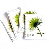 "Chrysanthemum Postage Stamps | Beautiful Blooms Series | Green Flowers | Botanical | Wedding Stamps | Vintage Unused USPS Postage 41c | Pack of 10" - Postage Stamps in green by Heritage Post House
