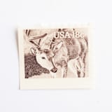 "18 Cent White-Tailed Deer Postage Stamps // Set of 10 // UNUSED Vintage Stamps" - Postage Stamps in beige by Flourish Fine Writing