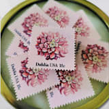 "Dahlia | Vintage Stamp, 18 cents, 1981 | 5 each" - Postage Stamps in pink by The Silver Stamps