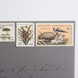 "8 Cent Brown Pelican Postage Stamps // Set of 10 // UNUSED Vintage Postage" - Postage Stamps in beige by Flourish Fine Writing
