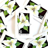"Large-Flowered Trillium Postage Stamps | American Wildflower Series | White Flower | Ohio State Wildflower | Botanical | Vintage Unused USPS Postage 29c | Pack of 10" - Postage Stamps in white by Heritage Post House