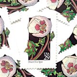 "Desert Five Spot Postage Stamps | American Wildflower Series | Pink Flower | Botanical | Vintage Unused USPS Postage 29c | Pack of 10" - Postage Stamps in pink by Heritage Post House