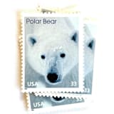 ""Polar Bear" Postage Stamps | Arctic Animals Series | Unused USPS Postage 33c | Pack of 20" - Postage Stamps in white by Jennifer Kramer