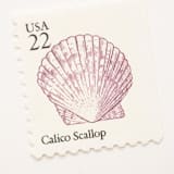 "22 Cent Calico Seashell Postage Stamps // Set of 10 // UNUSED" - Postage Stamps in purple by Flourish Fine Writing