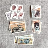 "California Vintage Postage, 10 Sets" - Postage Stamps in natural by Jennifer Kramer