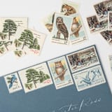 "Outdoor Winter Fun Vintage Postage Set // Set of 5 // UNUSED // Nature // Ice Skating // Blue" - Postage Stamps in blue by Flourish Fine Writing