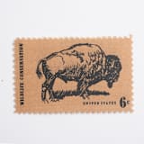 "6 Cent Bison Postage Stamps // Set of 10 // UNUSED Vintage Stamps" - Postage Stamps in natural by Flourish Fine Writing