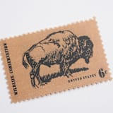 "6 Cent Bison Postage Stamps // Set of 10 // UNUSED Vintage Stamps" - Postage Stamps in natural by Flourish Fine Writing