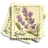 "Lavender Flower Postage Stamps | Herbs Series | Vintage Unused USPS Postage 29c | Pack of 10" - Postage Stamps in purple by Heritage Post House