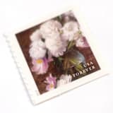 "White and Pink Peony Forever Stamps // Set of 10" - Postage Stamps in pink by Flourish Fine Writing