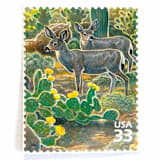 "Desert Mule Deer Postage Stamps | Nature of America Series | Sonoran Desert | Vintage Unused USPS Postage 33c | Pack of 10" - Postage Stamps in green by Heritage Post House