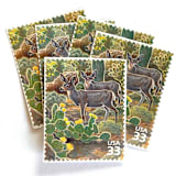 "Desert Mule Deer Postage Stamps | Nature of America Series | Sonoran Desert | Vintage Unused USPS Postage 33c | Pack of 10" - Postage Stamps in green by Heritage Post House