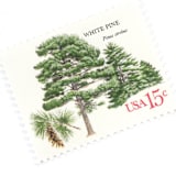 "15 Cent White Pine Tree Postage Stamps // Set of 10 // UNUSED Vintage Stamps" - Postage Stamps in green by Flourish Fine Writing