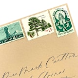 "15 Cent White Pine Tree Postage Stamps // Set of 10 // UNUSED Vintage Stamps" - Postage Stamps in green by Flourish Fine Writing