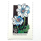 "White Mountain Avens Postage Stamps | American Wildflower Series | White Flower | Botanical | Vintage Unused USPS Postage 29c | Pack of 10" - Postage Stamps in white by Heritage Post House