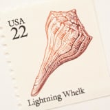 "22 Cent Lightning Whelk Seashell Postage Stamps // Set of 10 // UNUSED" - Postage Stamps in beige by Flourish Fine Writing