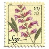 "Sage Flower Postage Stamps | Herbs Series | Botanical | Wedding Stamps | Vintage Unused USPS Postage 29c | Pack of 10" - Postage Stamps in pink by Heritage Post House