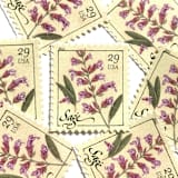 "Sage Flower Postage Stamps | Herbs Series | Botanical | Wedding Stamps | Vintage Unused USPS Postage 29c | Pack of 10" - Postage Stamps in pink by Heritage Post House