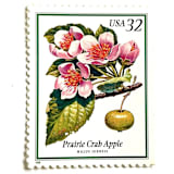 "Prairie Crab Apple Postage Stamps | Flowering Trees | Midwest | Pink Flower | Wedding Stamps | Vintage Unused USPS Postage 32c | Pack of 10" - Postage Stamps in pink by Heritage Post House