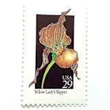 "Yellow Lady's Slipper Postage Stamps | American Wildflower Series | Yellow Flower | Botanical | Vintage Unused USPS Postage 29c | Pack of 10" - Postage Stamps in yellow by Heritage Post House