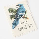 "13 Cent Blue Jay Postage Stamps // Set of 10 // UNUSED Vintage Stamps" - Postage Stamps in blue by Flourish Fine Writing