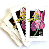 "Meadow Beauty Postage Stamps | American Wildflower Series | Pink Flower | Botanical | Vintage Unused USPS Postage 29c | Pack of 10" - Postage Stamps in pink by Heritage Post House