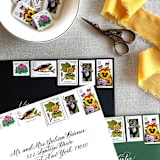 "Bright Botanical Postage, 10 Sets" - Postage Stamps in multicolor by Jennifer Kramer