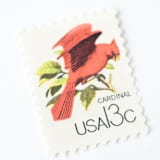 "13 Cent Red Cardinal Postage Stamps // Set of 10 // UNUSED Vintage Stamps" - Postage Stamps in red by Flourish Fine Writing